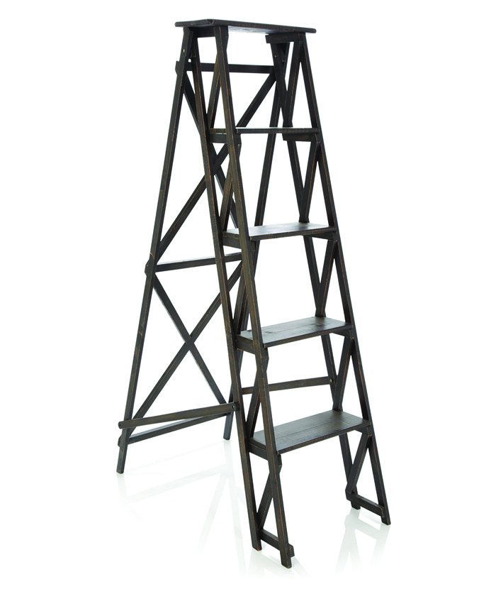 Special Aluminium Ladder